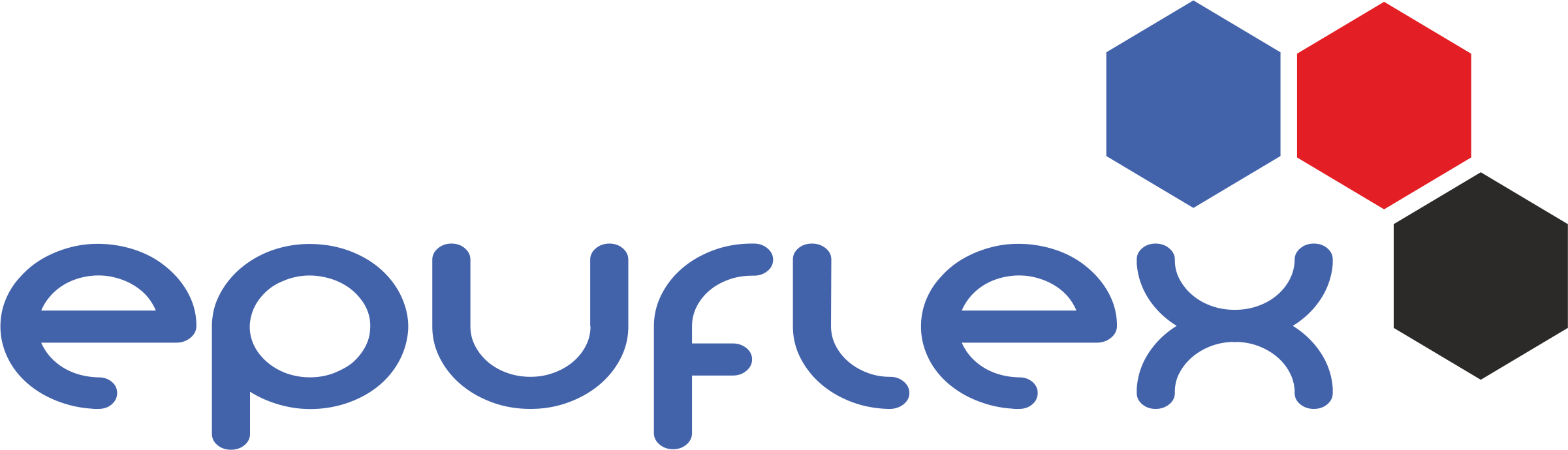 EPUFLEX Logo